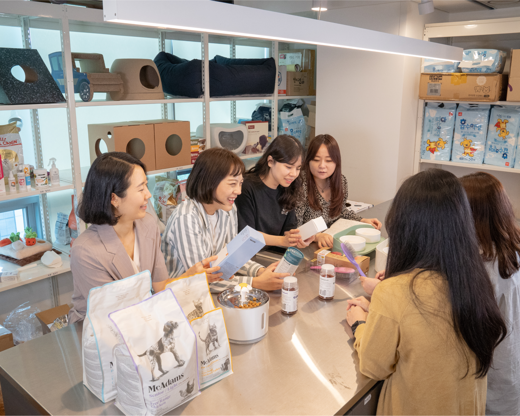 고양이대통령의 약속